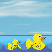 Duck Movie